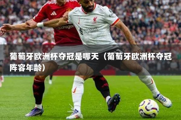 葡萄牙欧洲杯夺冠是哪天(葡萄牙欧洲杯夺冠阵容年龄)