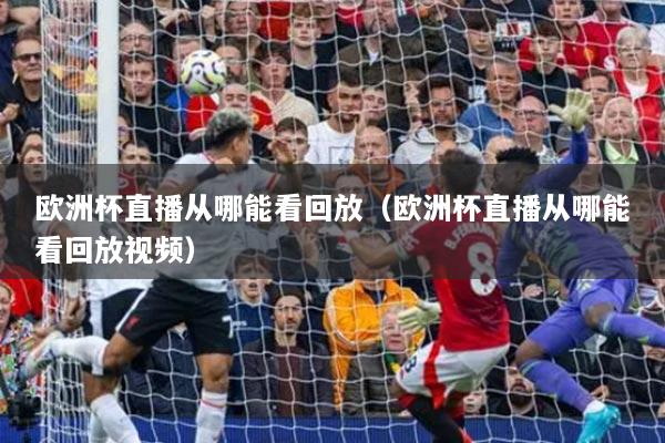 欧洲杯直播从哪能看回放（欧洲杯直播从哪能看回放视频）
