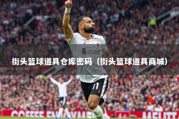 街头篮球道具仓库密码（街头篮球道具商城）
