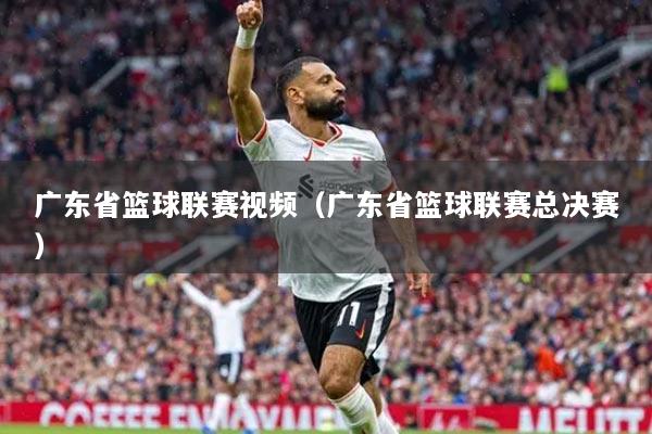 广东省篮球联赛视频(广东省篮球联赛总决赛)
