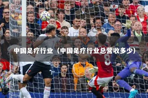 中国足疗行业(中国足疗行业总营收多少)