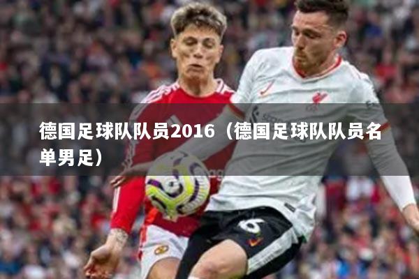德国足球队队员2016(德国足球队队员名单男足)