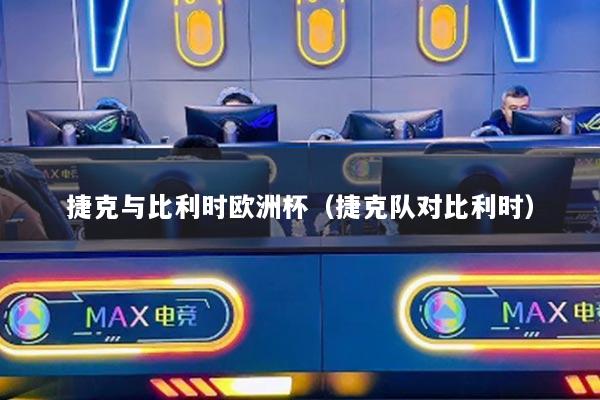 捷克与比利时欧洲杯（捷克队对比利时）