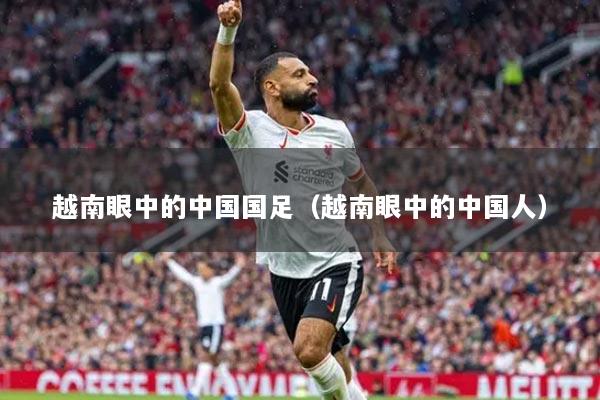 越南眼中的中国国足(越南眼中的中国人)
