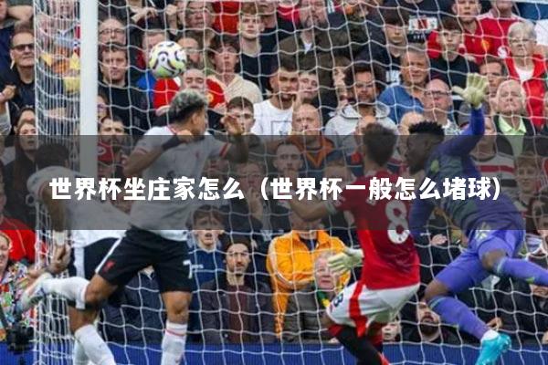 世界杯坐庄家怎么（世界杯一般怎么堵球）