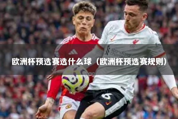 欧洲杯预选赛选什么球(欧洲杯预选赛规则)