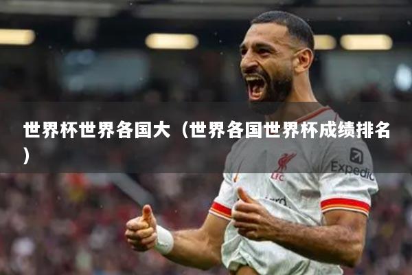 世界杯世界各国大(世界各国世界杯成绩排名)