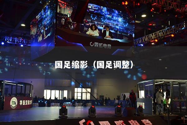 国足缩影(国足调整)