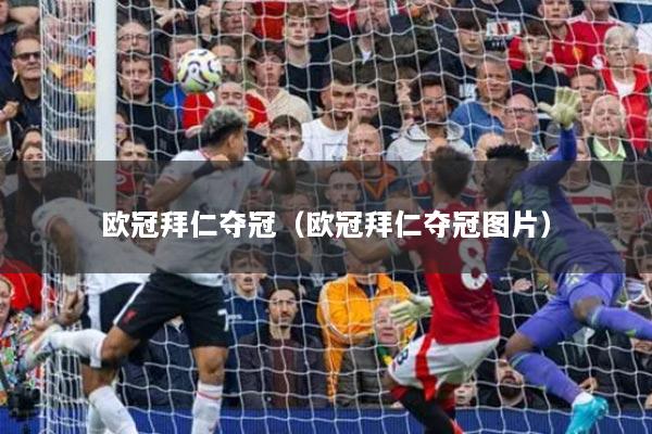 欧冠拜仁夺冠(欧冠拜仁夺冠图片)