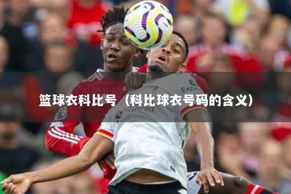 篮球衣科比号（科比球衣号码的含义）