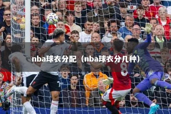 nba球衣分配（nba球衣分几种）