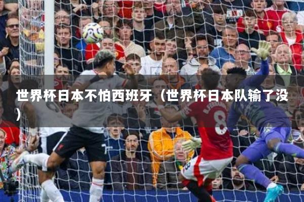 世界杯日本不怕西班牙（世界杯日本队输了没）