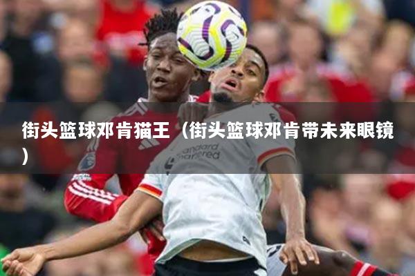 街头篮球邓肯猫王（街头篮球邓肯带未来眼镜）