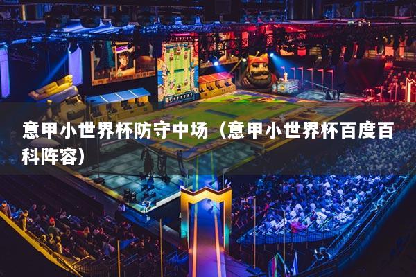 意甲小世界杯防守中场(意甲小世界杯百度百科阵容)